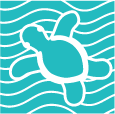 Turtle Beach Press
